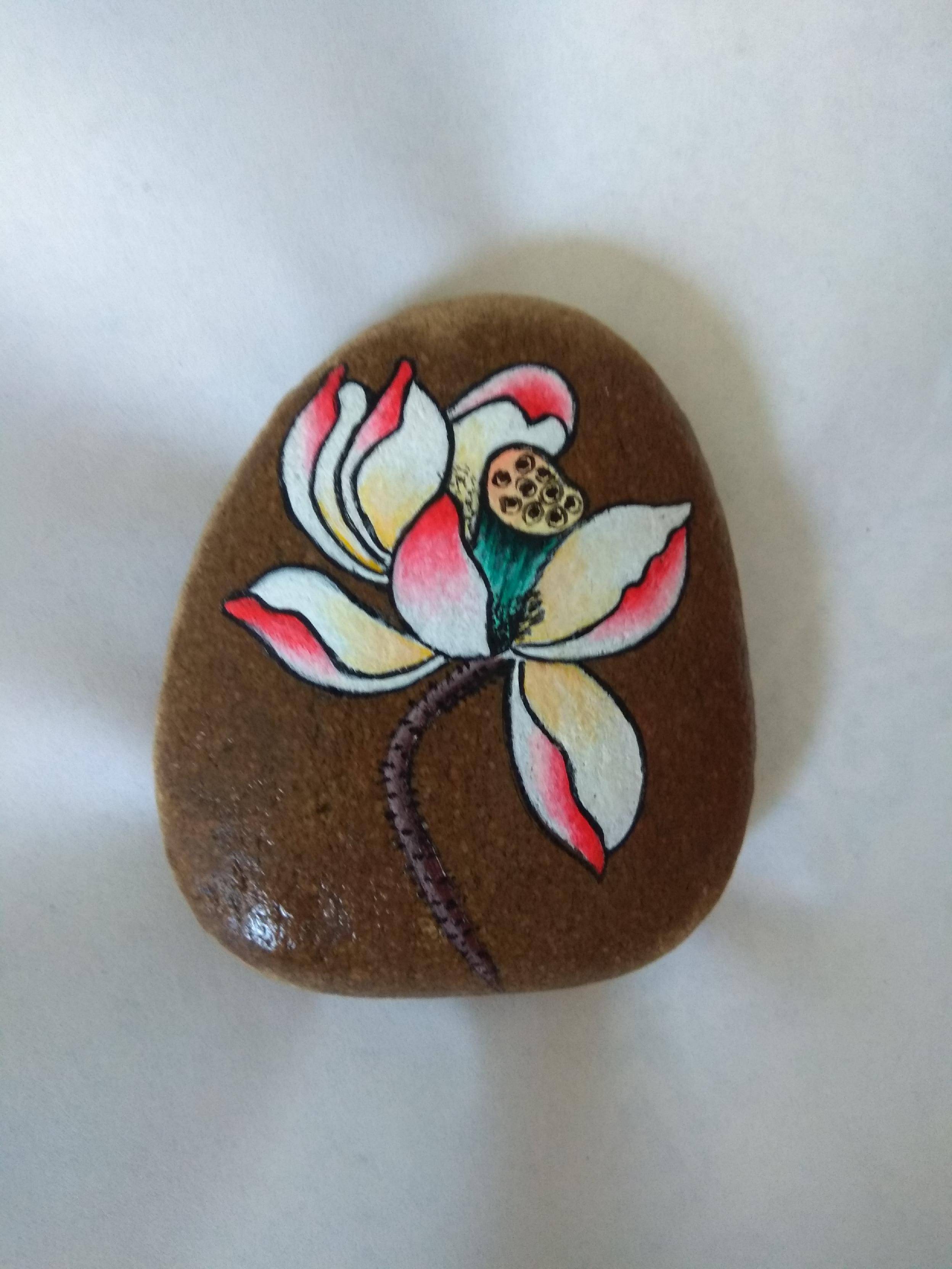 荷花 手绘石头画