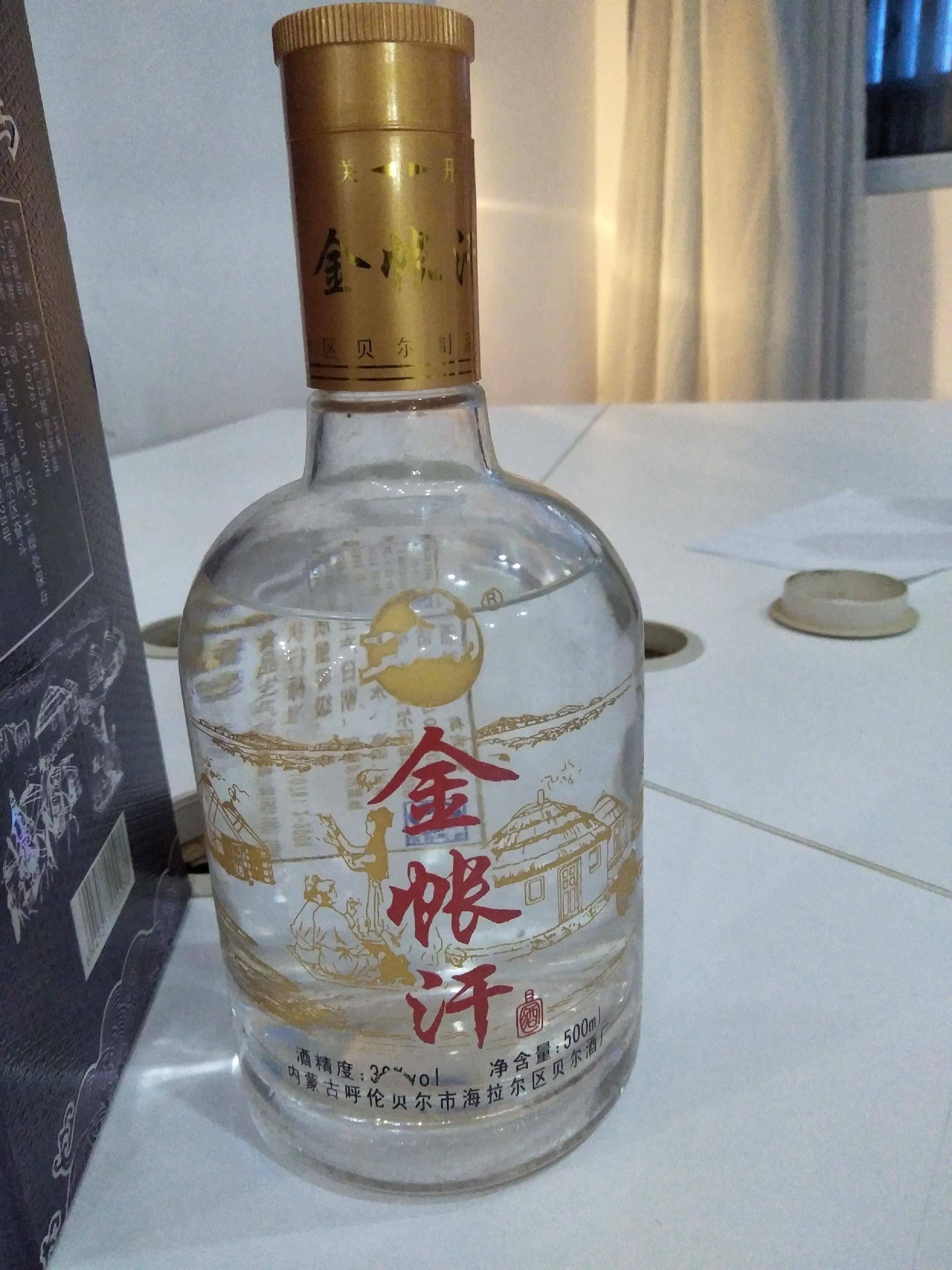 金帐汗金戈铁马